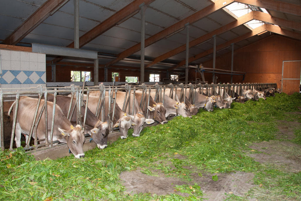Вилла Wagnerhof Pichl bei Aussee Экстерьер фото
